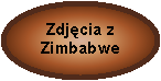 Elipsa: Zdjcia z Zimbabwe